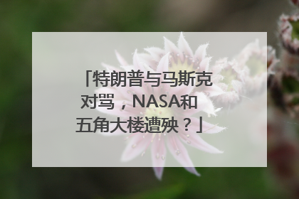 特朗普与马斯克对骂，NASA和五角大楼遭殃？