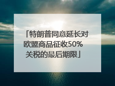 特朗普同意延长对欧盟商品征收50%关税的最后期限