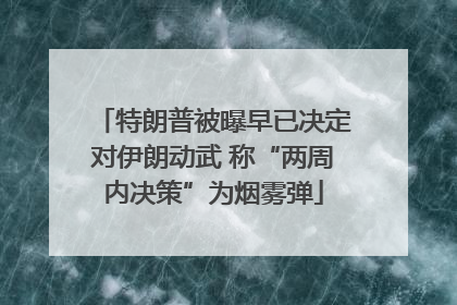 特朗普被曝早已决定对伊朗动武 称“两周内决策”为烟雾弹