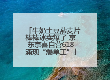 牛奶土豆燕麦片棒棒冰卖爆了 京东京喜自营618涌现“爆单王”