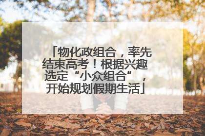 物化政组合，率先结束高考！根据兴趣选定“小众组合”，开始规划假期生活