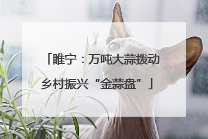 睢宁：万吨大蒜拨动乡村振兴“金蒜盘”
