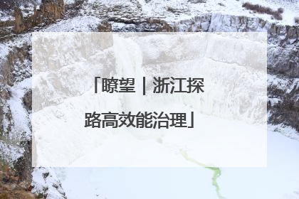 瞭望｜浙江探路高效能治理