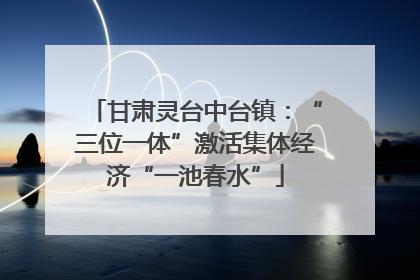 甘肃灵台中台镇：“三位一体”激活集体经济“一池春水”