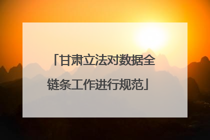 甘肃立法对数据全链条工作进行规范