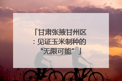 甘肃张掖甘州区：见证玉米制种的“无限可能”