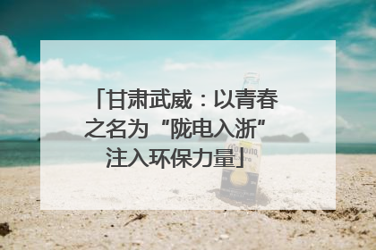 甘肃武威：以青春之名为“陇电入浙”注入环保力量