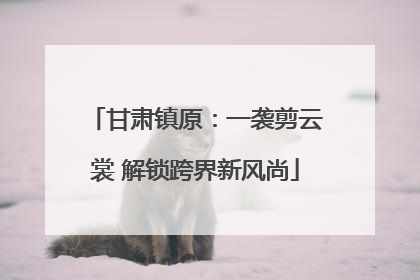 甘肃镇原：一袭剪云裳 解锁跨界新风尚