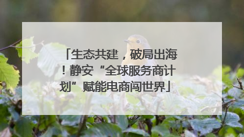 生态共建，破局出海！静安“全球服务商计划”赋能电商闯世界