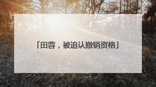 田蓉，被追认撤销资格