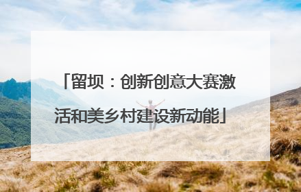 留坝：创新创意大赛激活和美乡村建设新动能