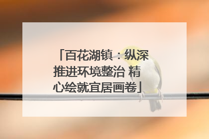 百花湖镇：纵深推进环境整治 精心绘就宜居画卷
