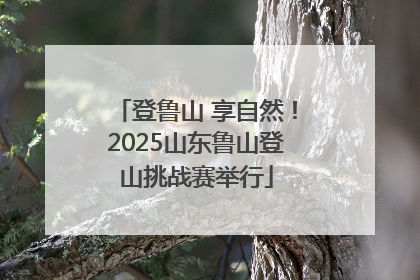 登鲁山 享自然！2025山东鲁山登山挑战赛举行