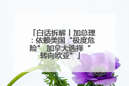 白话拆解丨加总理：依赖美国“极度危险” 加拿大选择“转向欧亚”