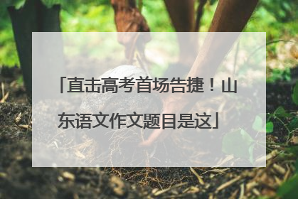 直击高考首场告捷！山东语文作文题目是这