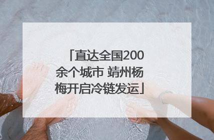 直达全国200余个城市 靖州杨梅开启冷链发运