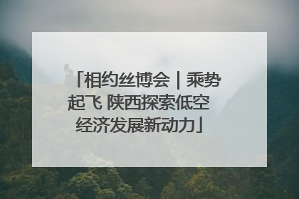相约丝博会｜乘势起飞 陕西探索低空经济发展新动力