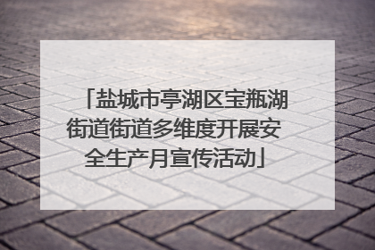 盐城市亭湖区宝瓶湖街道街道多维度开展安全生产月宣传活动