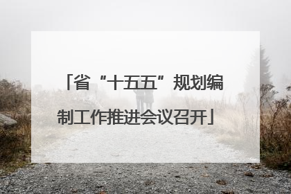 省“十五五”规划编制工作推进会议召开