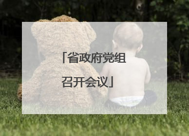 省政府党组召开会议