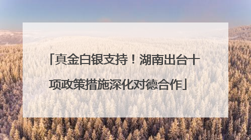 真金白银支持！湖南出台十项政策措施深化对德合作