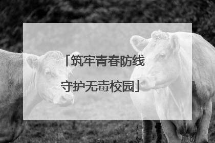 筑牢青春防线 守护无毒校园