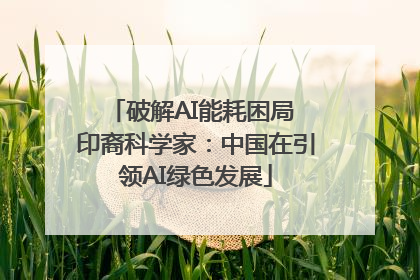 破解AI能耗困局 印裔科学家：中国在引领AI绿色发展