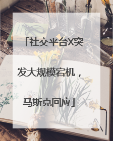 社交平台X突发大规模宕机，马斯克回应