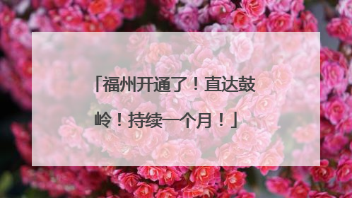 福州开通了！直达鼓岭！持续一个月！
