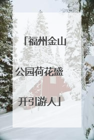 福州金山公园荷花盛开引游人