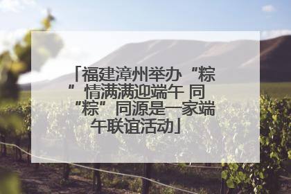 福建漳州举办“粽”情满满迎端午 同“粽”同源是一家端午联谊活动
