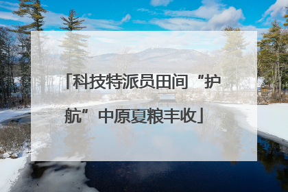 科技特派员田间“护航”中原夏粮丰收