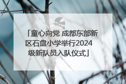 童心向党 成都东部新区石盘小学举行2024级新队员入队仪式