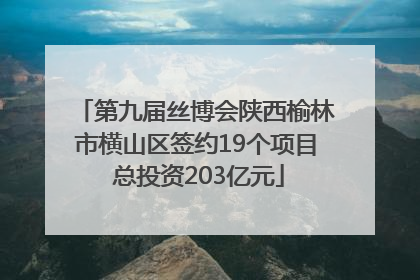 第九届丝博会陕西榆林市横山区签约19个项目 总投资203亿元