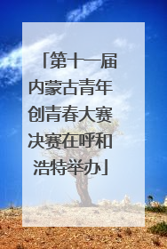 第十一届内蒙古青年创青春大赛决赛在呼和浩特举办