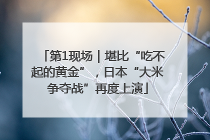 第1现场｜堪比“吃不起的黄金”，日本“大米争夺战”再度上演