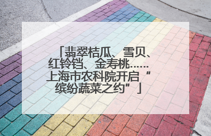 翡翠桔瓜、雪贝、红铃铛、金寿桃……上海市农科院开启“缤纷蔬菜之约”