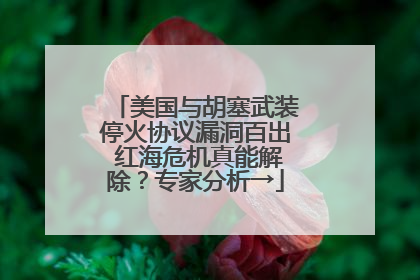 美国与胡塞武装停火协议漏洞百出 红海危机真能解除？专家分析→