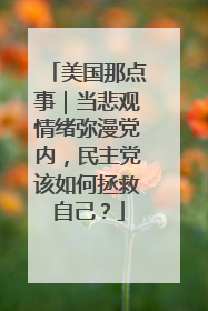 美国那点事｜当悲观情绪弥漫党内，民主党该如何拯救自己？