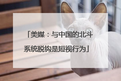 美媒：与中国的北斗系统脱钩是短视行为