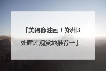 美得像油画！郑州3处睡莲观赏地推荐→