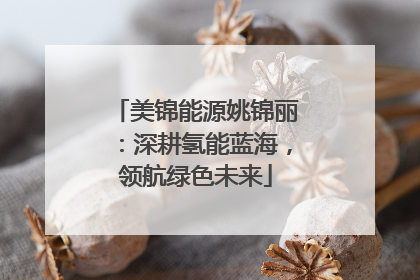 美锦能源姚锦丽：深耕氢能蓝海，领航绿色未来