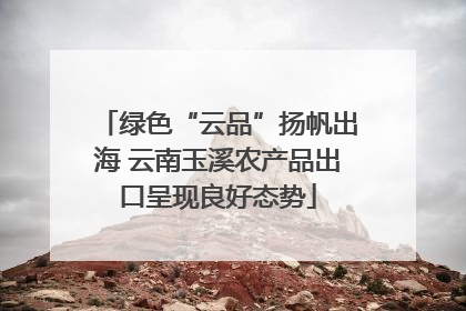 绿色“云品”扬帆出海 云南玉溪农产品出口呈现良好态势