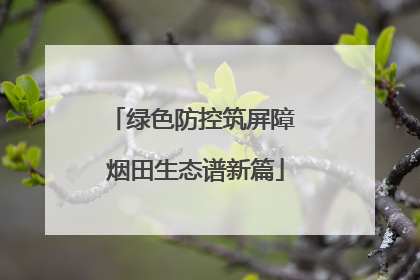 绿色防控筑屏障 烟田生态谱新篇