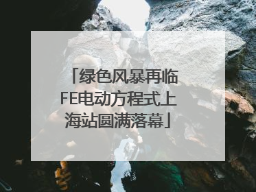 绿色风暴再临 FE电动方程式上海站圆满落幕