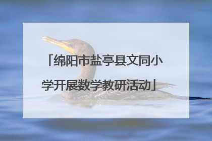 绵阳市盐亭县文同小学开展数学教研活动