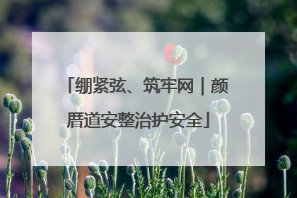 绷紧弦、筑牢网｜颜厝道安整治护安全