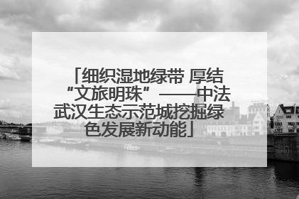 细织湿地绿带 厚结“文旅明珠”——中法武汉生态示范城挖掘绿色发展新动能