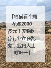 给猫看个病花费2000多元！宠物医疗行业存在乱象，业内人士呼吁→