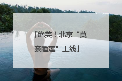 绝美！北京“莫奈睡莲”上线